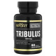 Трибулус, Tribulus, California Gold Nutrition, стандартизований екстракт, 45% сапонінів, 1000 мг, 60 таблеток.