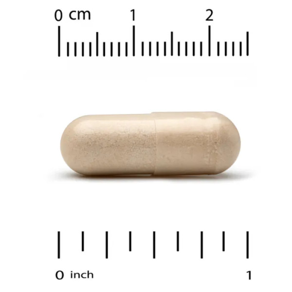 Гинкго Билоба, Gingko Biloba, California Gold Nutrition, EuroHerbs, экстракт, 120 мг, 60 вегетарианских капсул