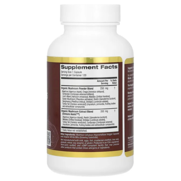 Суміш грибів, Mushroom Complex, California Gold Nutrition, Fungiology, сертифікована, органік, 120 капсул