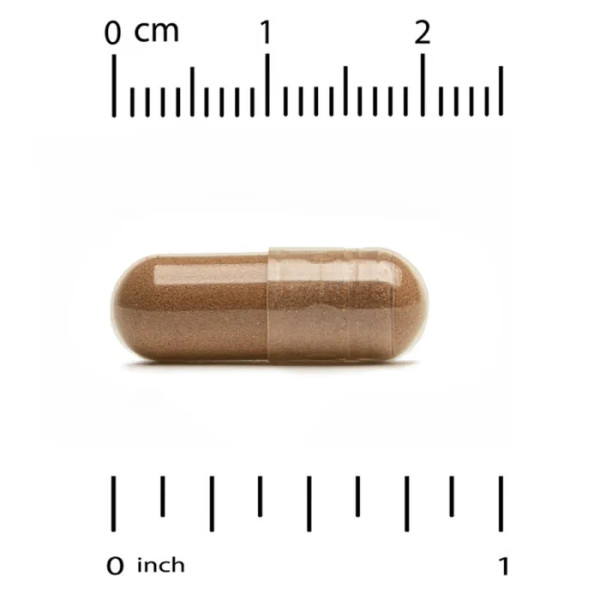 Меліса лікарська (лимонна м'ята), Lemon Balm, California Gold Nutrition, EuroHerbs, екстракт, 500 мг, 180 вегетаріанських капсул