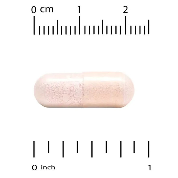 Пробіотики, Probiotics, California Gold Nutrition, суміш з 10 штамів, 25 млрд КУО, 60 рослинних капсул