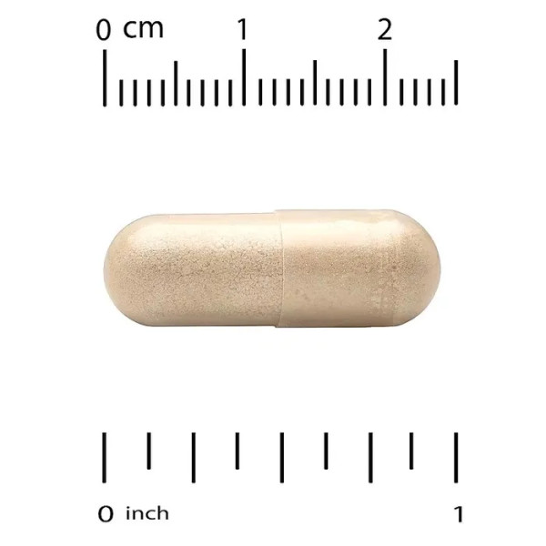 Бджолиний прополіс, Bee Propolis, 5:1 Extract, California Gold Nutrition, 1000 мг, 240 капсул