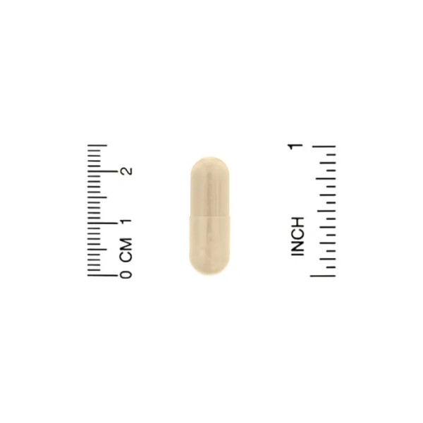 Бенфотіамін + альфа-ліпоєва кислота, Benfotiamine + Alpha Lipoic Acid, California Gold Nutrition, 90 вегетаріанських капсул