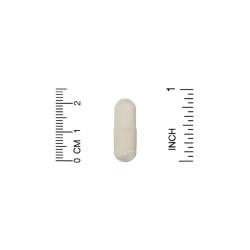 Родіола 500 мг, California Gold Nutrition Rhodiola, екстракт, 60 вегетаріанських капсул