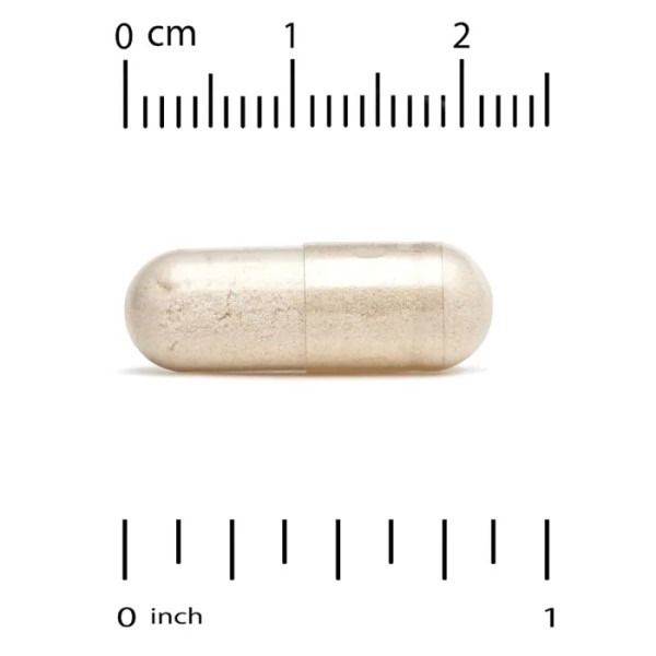 Здоров'я мозку, Brain Health, California Gold Nutrition, 60 веганських капсул