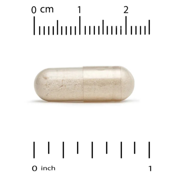 Ерготіонеїн, грибний комплекс, Ergothioneine Mushroom Complex, California Gold Nutrition, 90 капсул