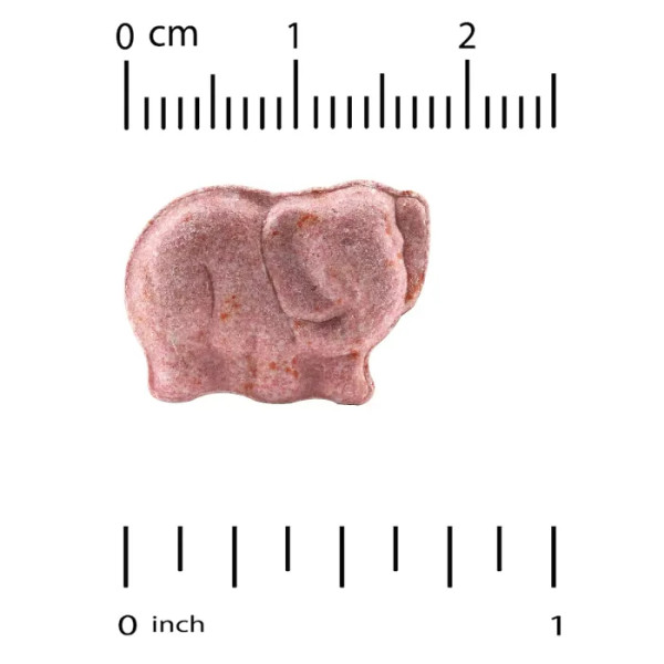 Підтримка дитячого імунітету, Chewable Immune Blend For Children, California Gold Nutrition зі смаком натуральних тропічних ягід, 90 таблеток