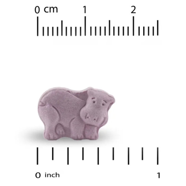 Мультивітаміни з пробіотиками та ферментами для дітей, Multivitamins with Probiotics & Enzymes, California Gold Nutrition, з натуральним смаком фруктового асорті, 60 таблеток