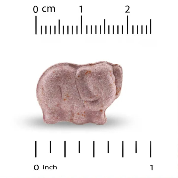 Мультивітаміни з пробіотиками та ферментами для дітей, Multivitamins with Probiotics & Enzymes, California Gold Nutrition, з натуральним смаком фруктового асорті, 60 таблеток