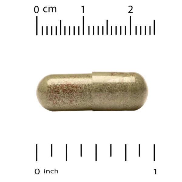 Лютеїн Плюс, Lutein Plus, Super Nutrition, 20 мг, 120 рослинних капсул