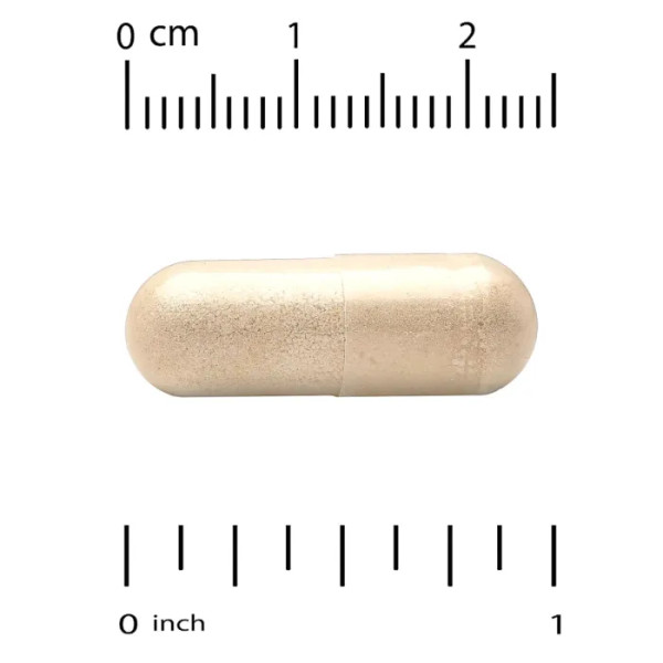 Гриб чага, Organic Chaga Mushroom, Super Nutrition, органік, 60 рослинних капсул