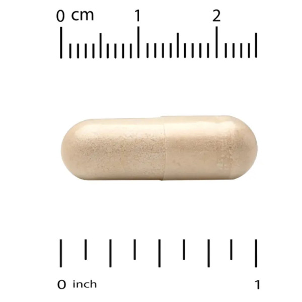 Підтримка рівня глюкози у крові, Blood Glucose Support, Super Nutrition, 60 рослинних капсул