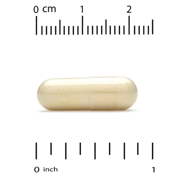 Підтримка вен, Vein Support, Super Nutrition, 90 рослинних капсул